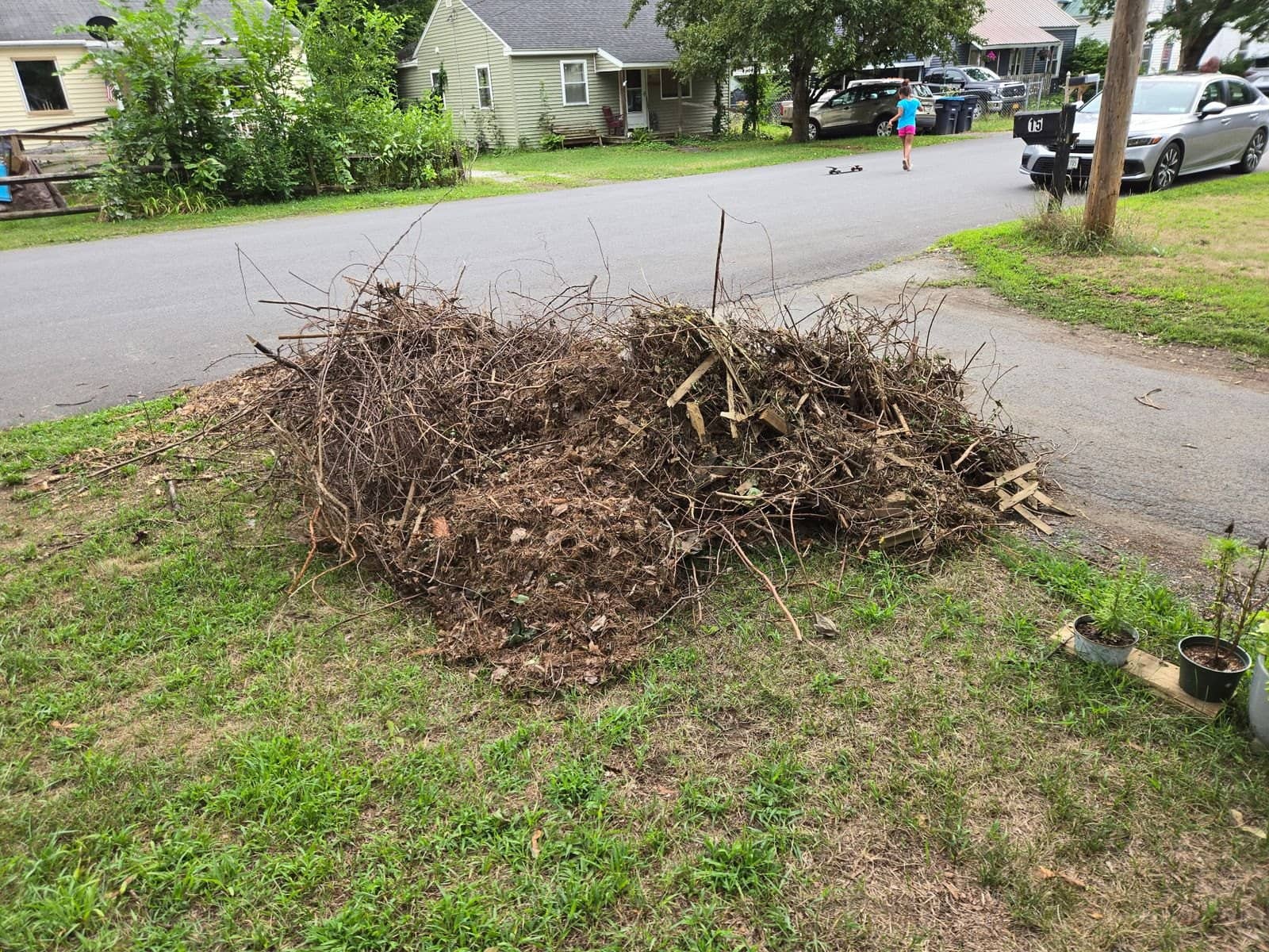 Large brush pile on the lawn at the edge of a residential street